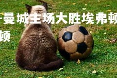 九游娱乐官方平台-曼城主场大胜埃弗顿，继续争夺联赛冠军，曼城对战埃弗顿